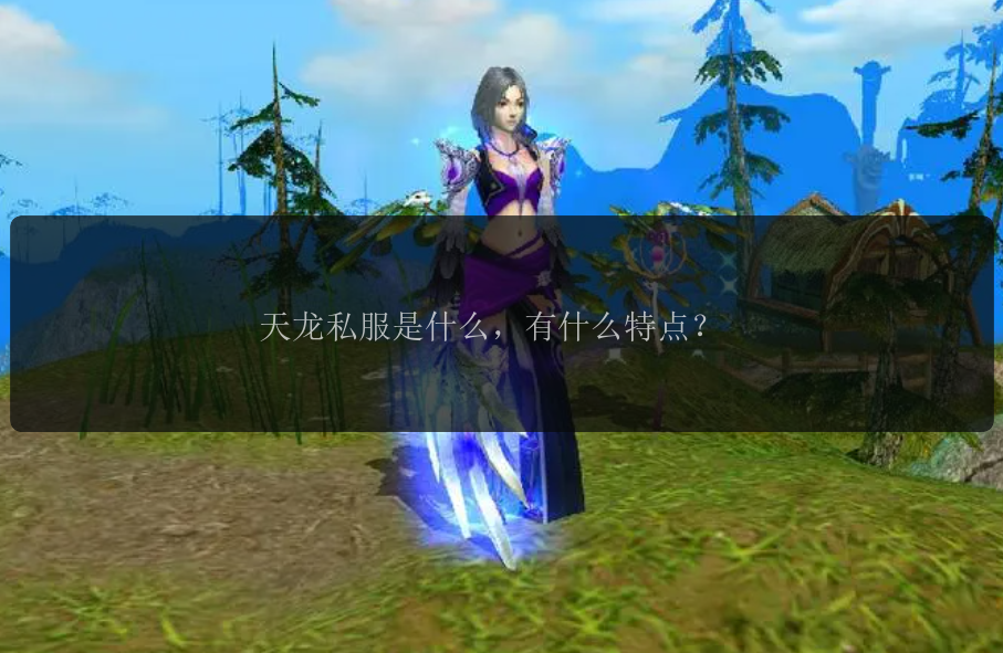 天龙私服是什么，有什么特点？